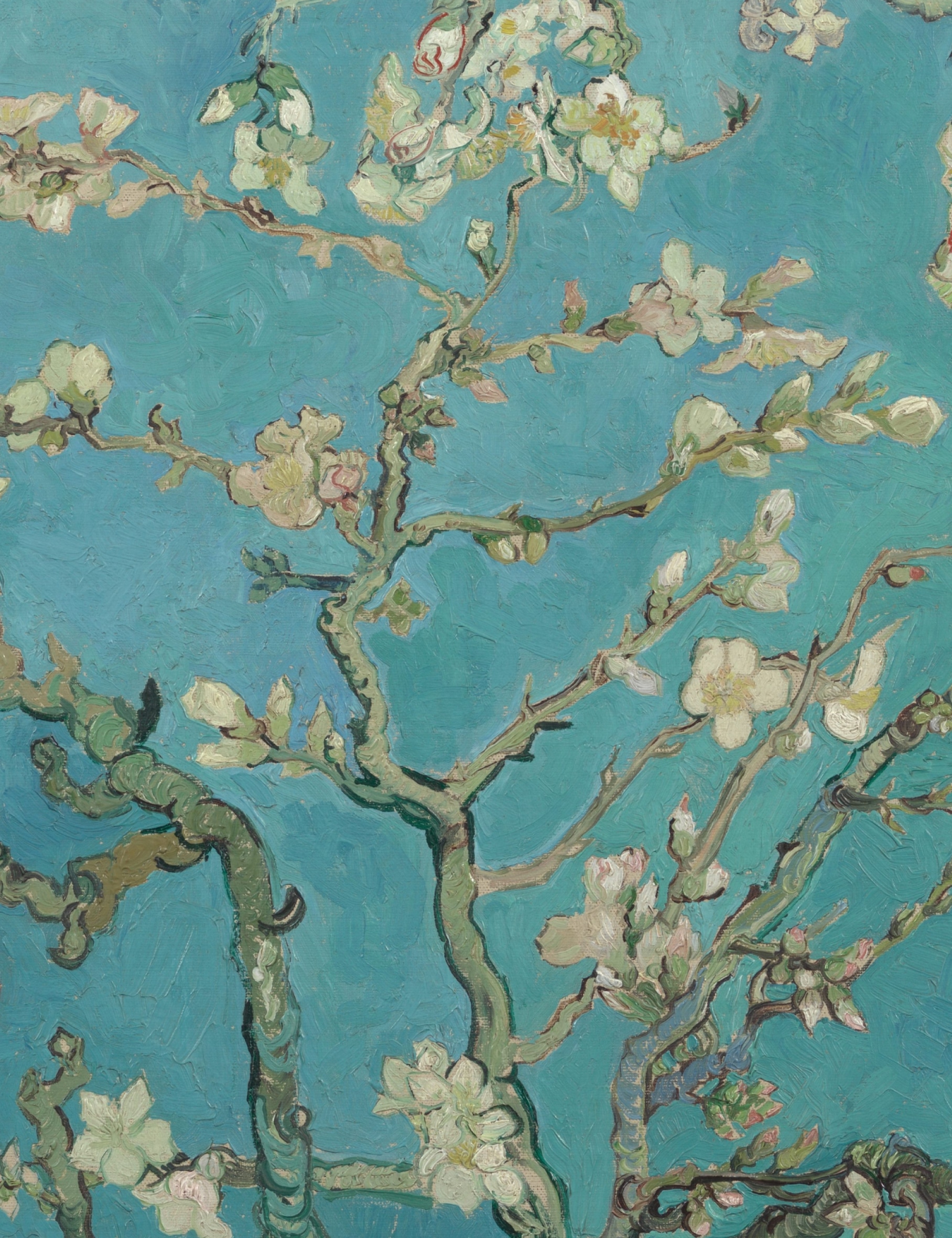 secrid van gogh almond blossom