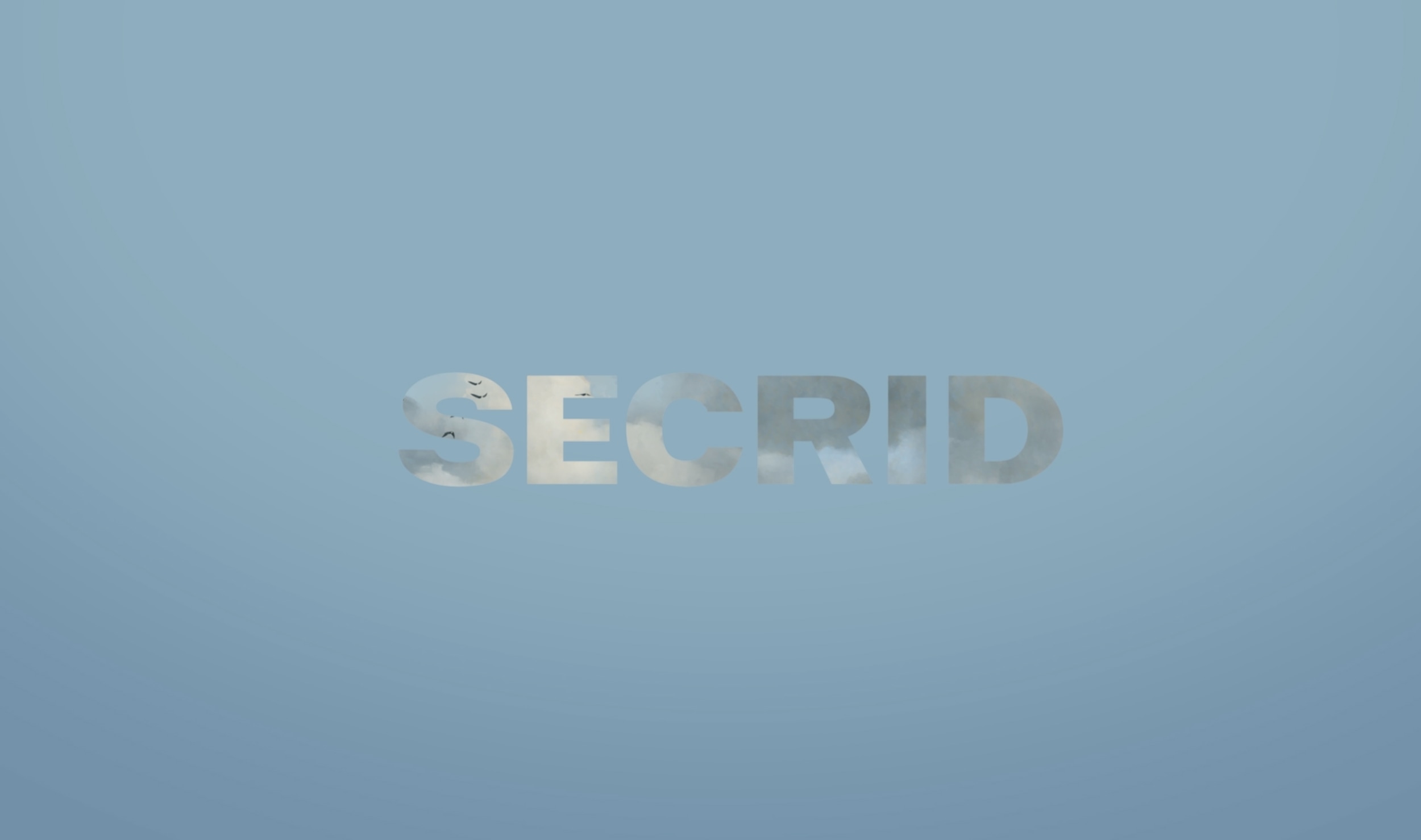 art collection secrid wallets