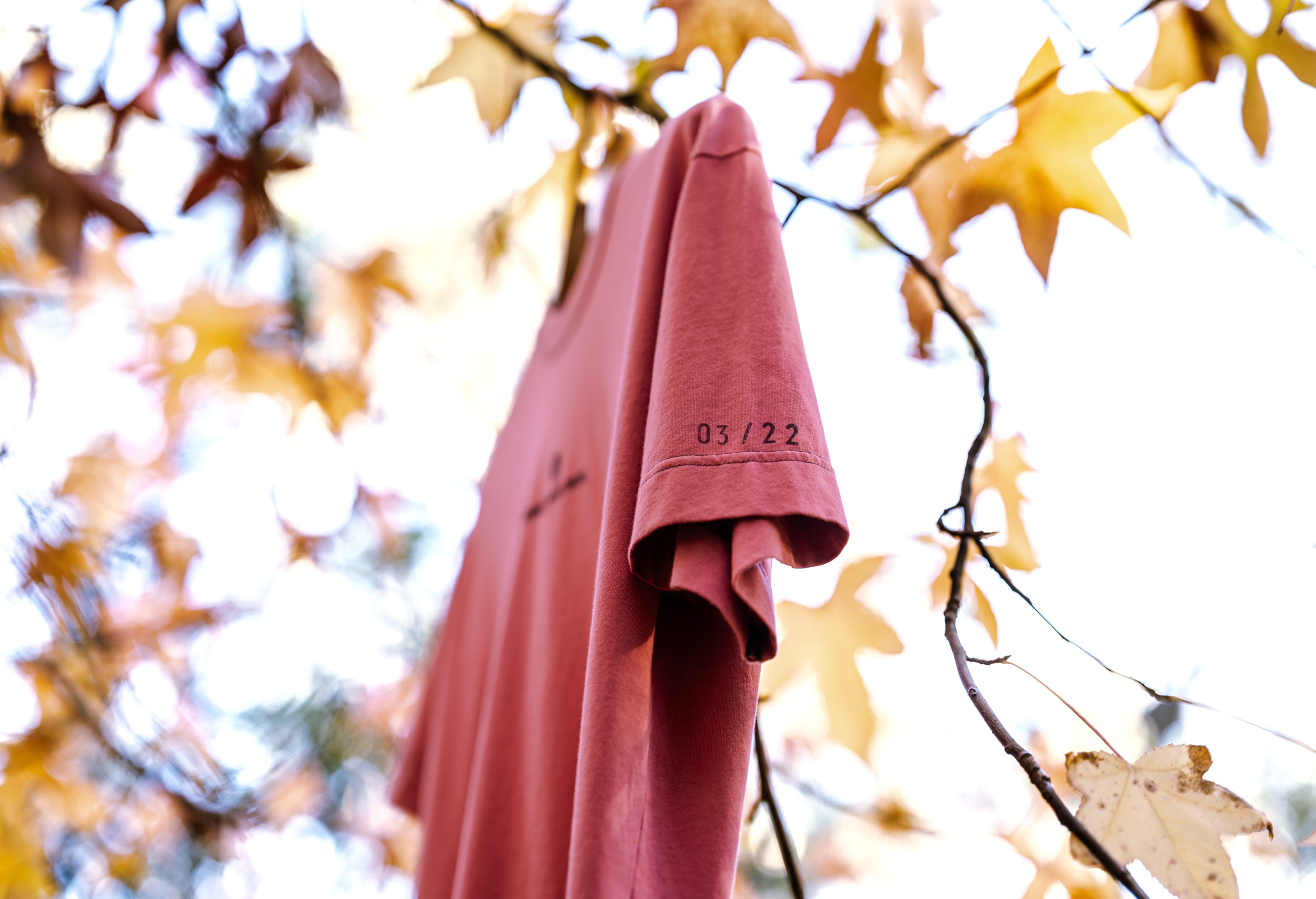 secrid talent podium sheltersuit one of xx