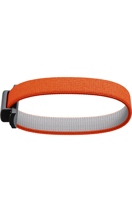 Add-on Bandwallet Band Orange