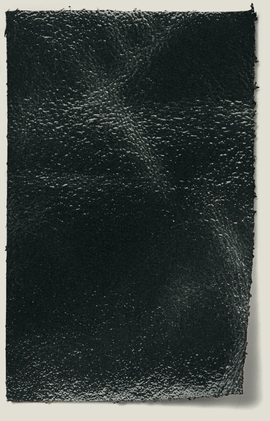 naplak leather