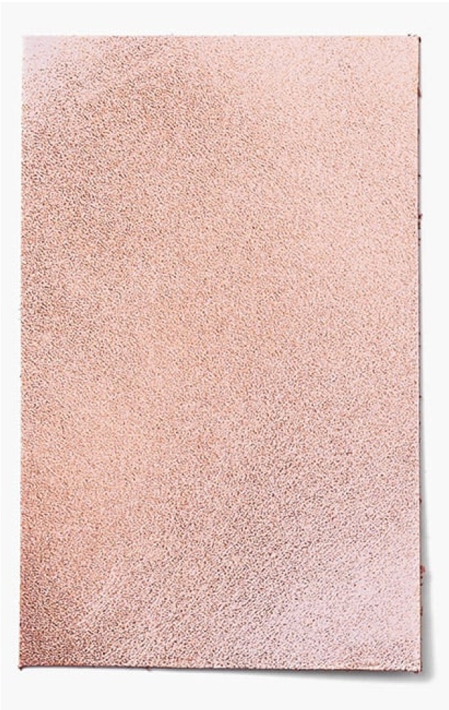 Metallic Leather Sample