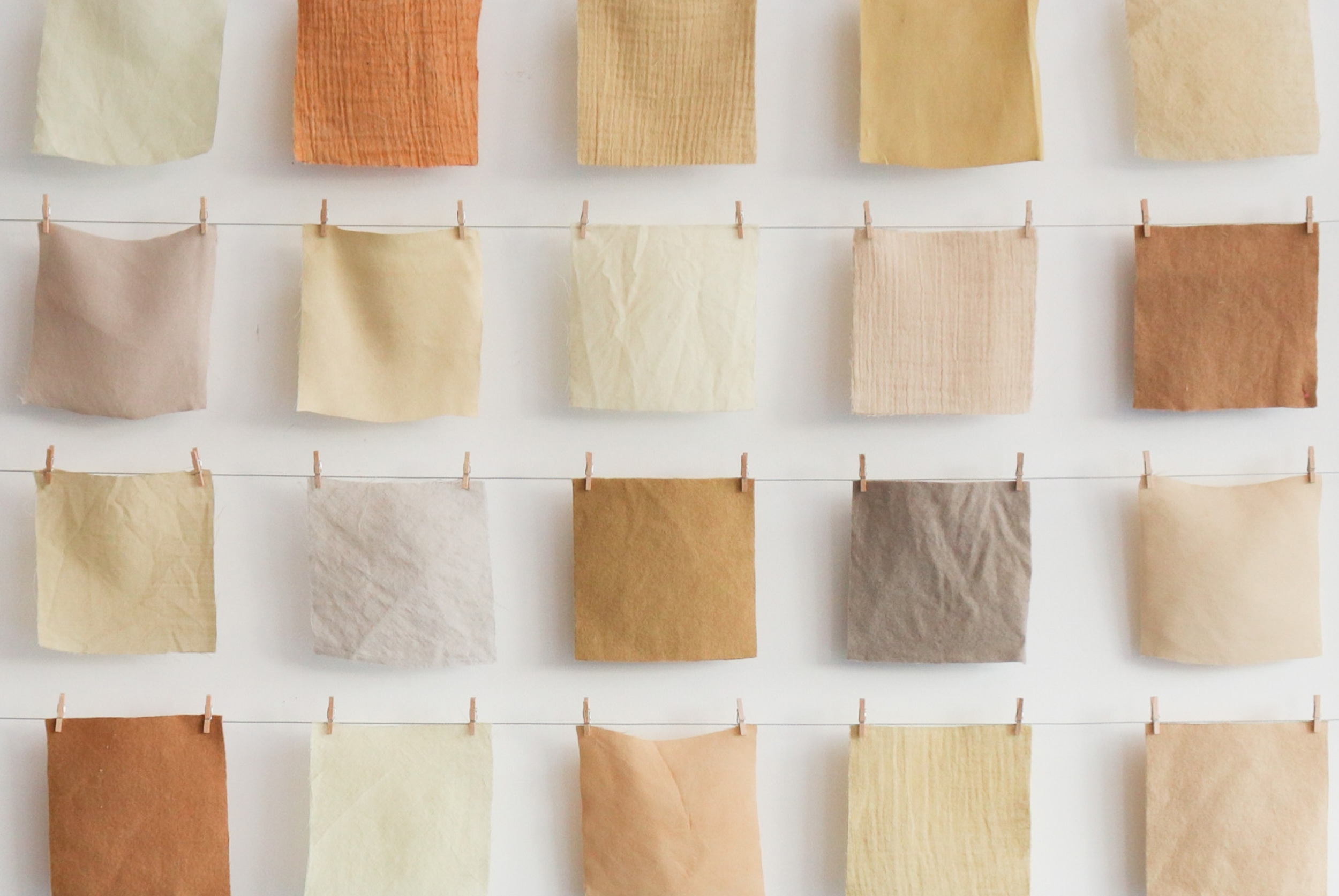 zeefier secrid impact fund nienke Anne Boermans en Nienke Hoogvliet